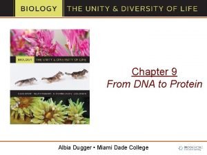 Chapter 9 From DNA to Protein Albia Dugger