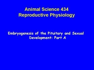 Animal Science 434 Reproductive Physiology Embryogenesis of the