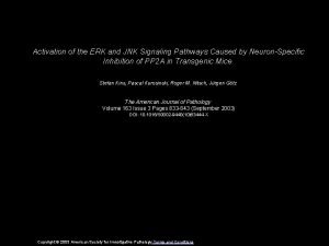 Activation of the ERK and JNK Signaling Pathways