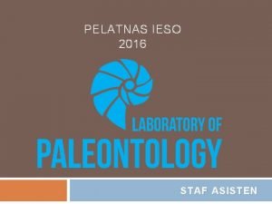 PELATNAS IESO 2016 STAF ASISTEN PENDAHULUAN Paleontologi Paleo