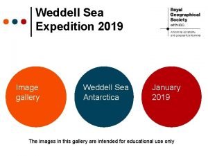 Weddell Sea Expedition 2019 Image gallery Weddell Sea