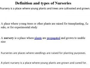 Nursery plant definition