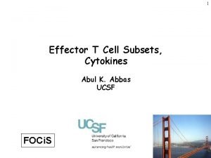 1 Effector T Cell Subsets Cytokines Abul K