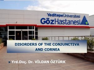 YEDTEPE NVERSTES GZ HASTANES DISORDERS OF THE CONJUNCTIVA