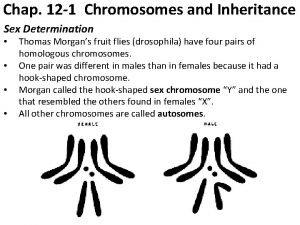 Chap 12 1 Chromosomes and Inheritance Sex Determination