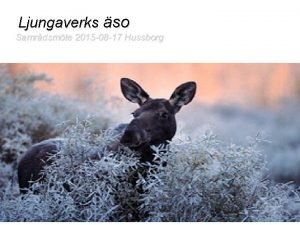 Ljungaverks so Samrdsmte 2015 08 17 Hussborg Styrgruppen