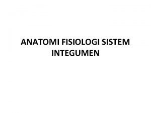 Anatomi fisiologi integumen