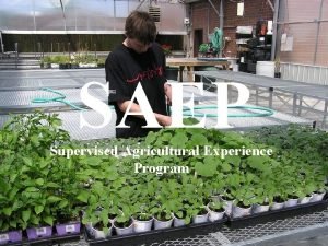 SAEP Supervised Agricultural Experience Program What is an