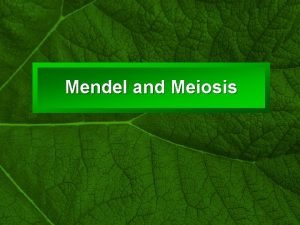 Slide 1 Mendel and Meiosis Slide 2 Mendel