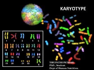 Different types of karyotypes