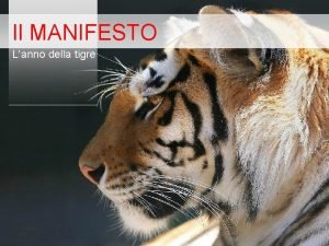 Il MANIFESTO Lanno della tigre Laffissione una forma