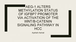 AEG1 ALTERS METHYLATION STATUS OF IGFBP 7 PROMOTER