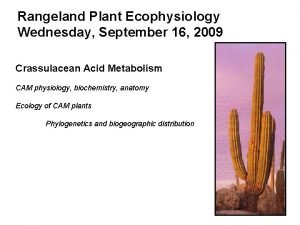 Rangeland Plant Ecophysiology Wednesday September 16 2009 Crassulacean