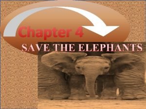 Chapter 4 SAVE THE ELEPHANTS Endangered Animals The