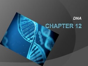 DNA CHAPTER 12 Characteristics DNA Deoxyribonucleic Acid Found
