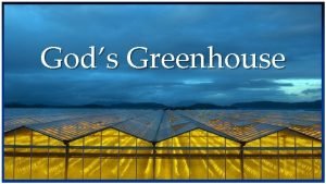 Gods Greenhouse Greenhouses q q Greenhouses are built