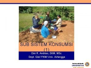 SUB SISTEM KONSUMSI 1 Dini R Andrias SKM