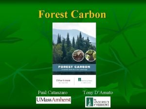Forest Carbon Paul Catanzaro Tony DAmato Acknowledgements n