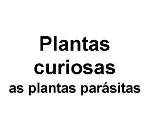 Plantas curiosas as plantas parsitas Plantas parsitas son