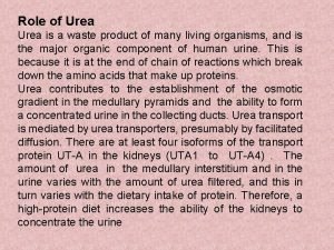 Role of urea