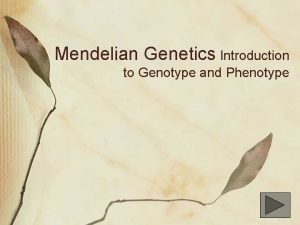 Gregor johann mendel Gregor johann mendel