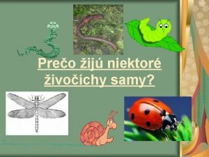 Preo ij niektor ivochy samy ivochy sas prrody