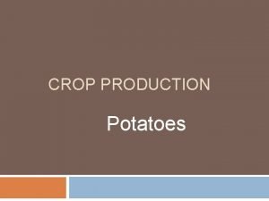 CROP PRODUCTION Potatoes Potatoes are the most widely