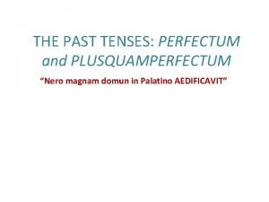 THE PAST TENSES PERFECTUM and PLUSQUAMPERFECTUM Nero magnam