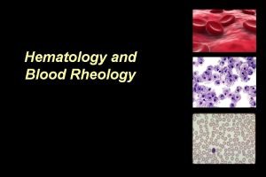 Hematology and Blood Rheology Elements of Blood includes