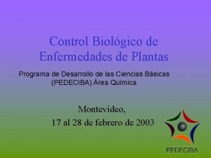 Control Biolgico de Enfermedades de Plantas Programa de