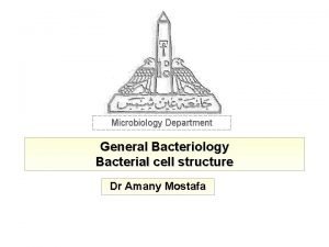 Microbiology Department General Bacteriology Bacterial cell structure Dr