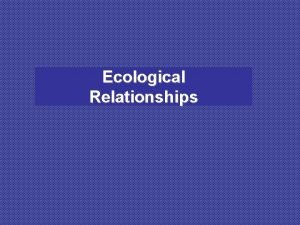 Reflection about ecological relationship