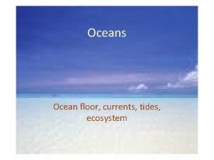 Ocean food chain