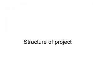 Pure project organizational structure template