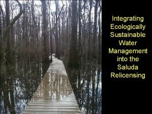 Integrating Ecologically Sustainable Water Management into the Saluda