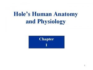 Holes anatomy and physiology chapter 1