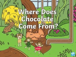Where does chocolate come from