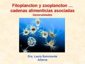 Fitoplancton y zooplancton cadenas alimenticias asociadas Generalidades Dra