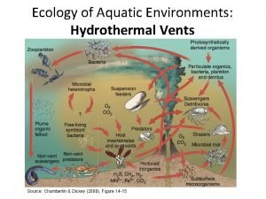 Ecology of Aquatic Environments Hydrothermal Vents Source Chamberlin