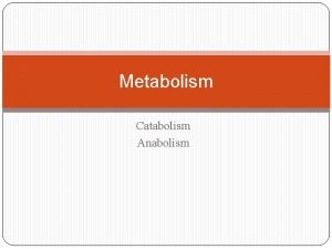 Metabolism Catabolism Anabolism First Law of Thermodynamics Eating