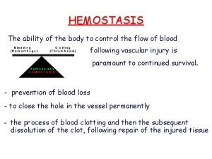 Hemostasis definition