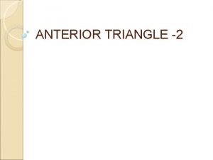 Boundaries of anterior triangle