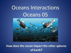 Ocean zones graphic organizer