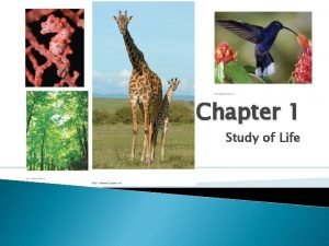 Chapter 1 Study of Life Inquiring About Life