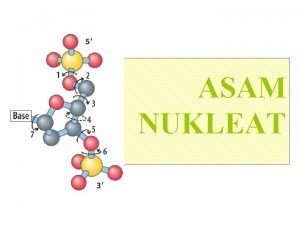 Sejarah tentang asam nukleat