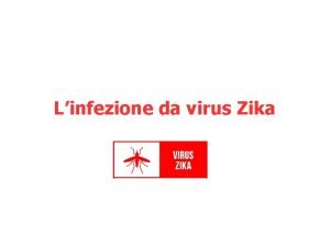 Linfezione da virus Zika La nascita del virus