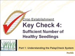 Crop Establishment Key Check 4 Sufficient Number of