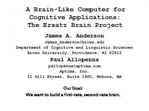 A BrainLike Computer for Cognitive Applications The Ersatz