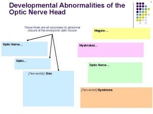 Developmental Abnormalities of the Optic Nerve Head These