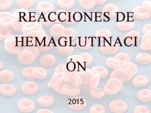 REACCIONES DE HEMAGLUTINACI N 2015 INMUNOHEMATOLOGA La inmunohematologa